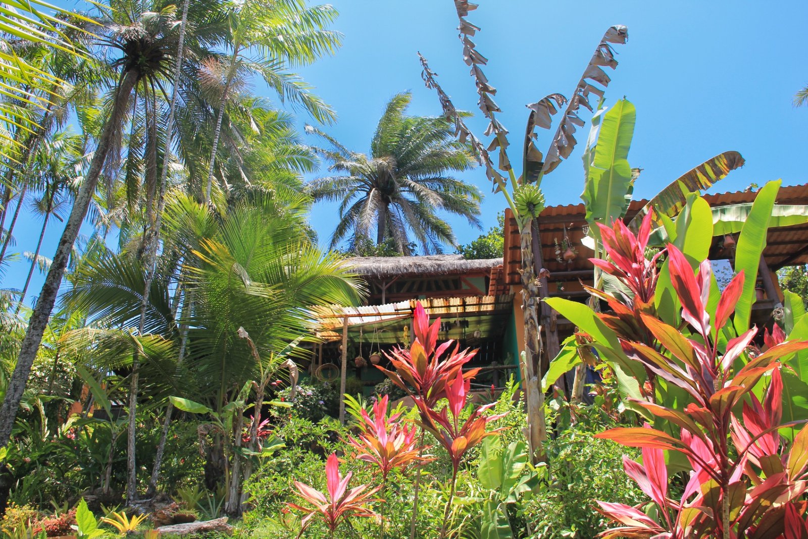 Jardim do Condomínio Vila Mandela com palmeiras e vegetação tropical
